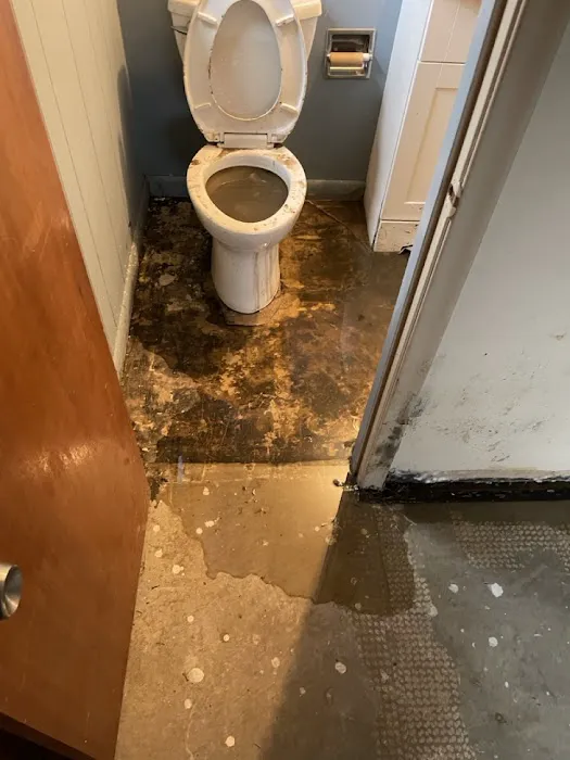 Flood & Fire Pros Picture 9