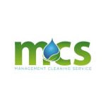 Management Cleaning Service