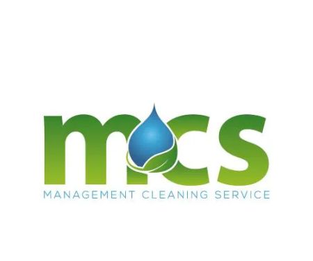 Management Cleaning Service