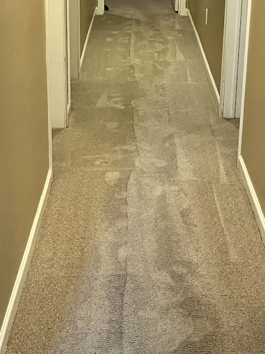 Stanley Steemer Picture 2