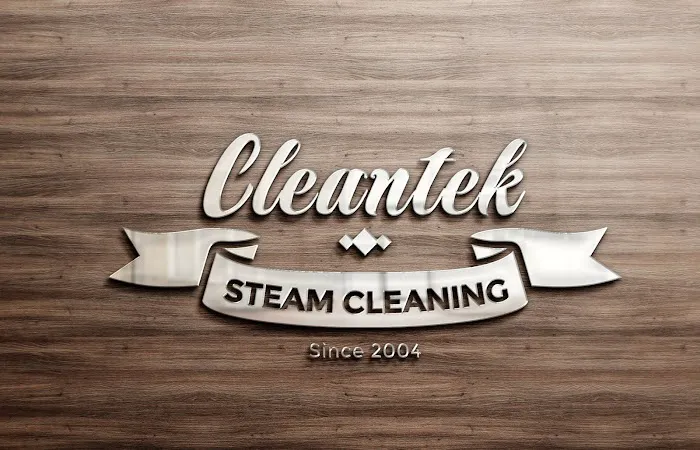 Cleantek Steam Cleaning Picture 3