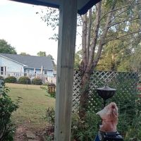 Shamrock Home Repairs ico