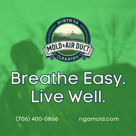 North Georgia Mold & Air Duct Cleaning Picture 8