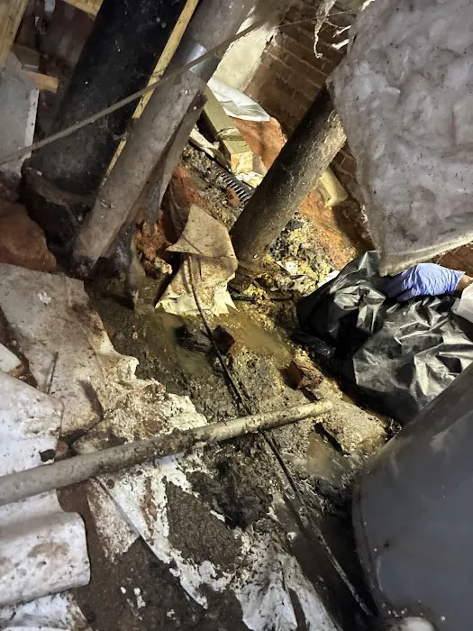 Premier Restoration Picture 4