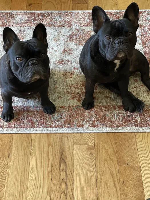 Construction & Roofing by Duraclean Picture 8