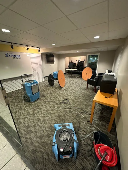 PRO WATER & RESTORATION of Greenville Picture 2