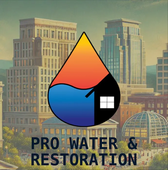 PRO WATER & RESTORATION of Greenville Picture 3