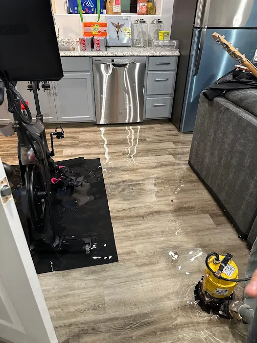 PRO WATER & RESTORATION of Greenville Picture 7