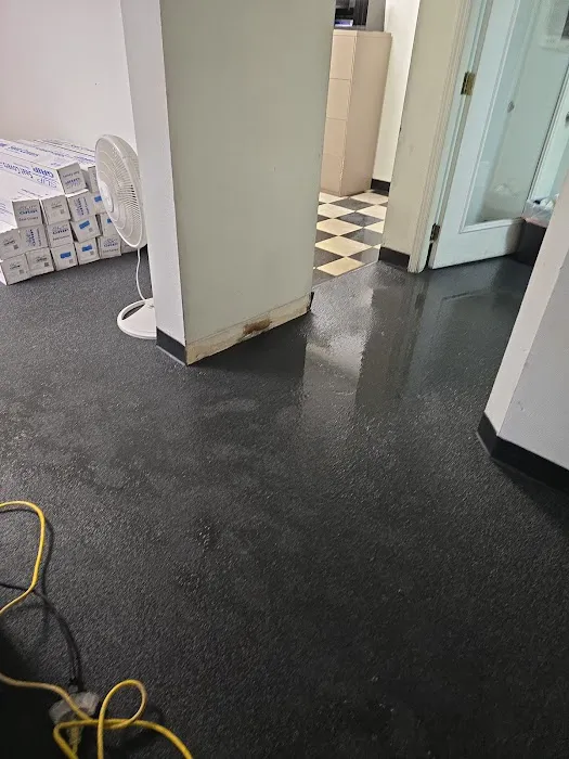 PRO WATER & RESTORATION of Greenville Picture 5