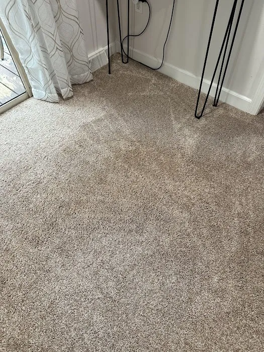 Stanley Steemer Picture 2