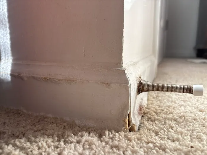 Stanley Steemer Picture 6