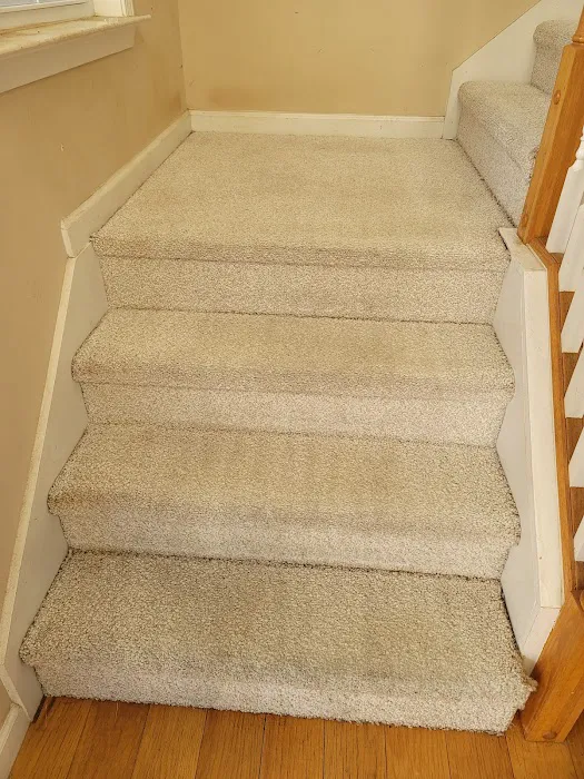 Stanley Steemer Picture 5