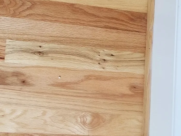 Stanley Steemer Picture 8