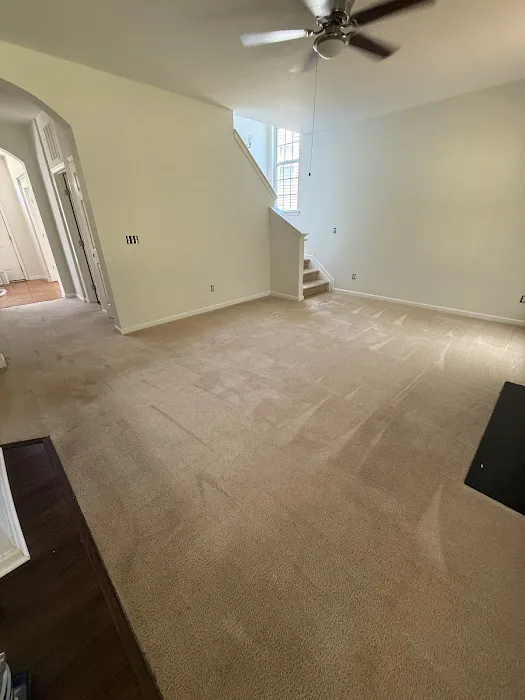 Stanley Steemer Picture 10