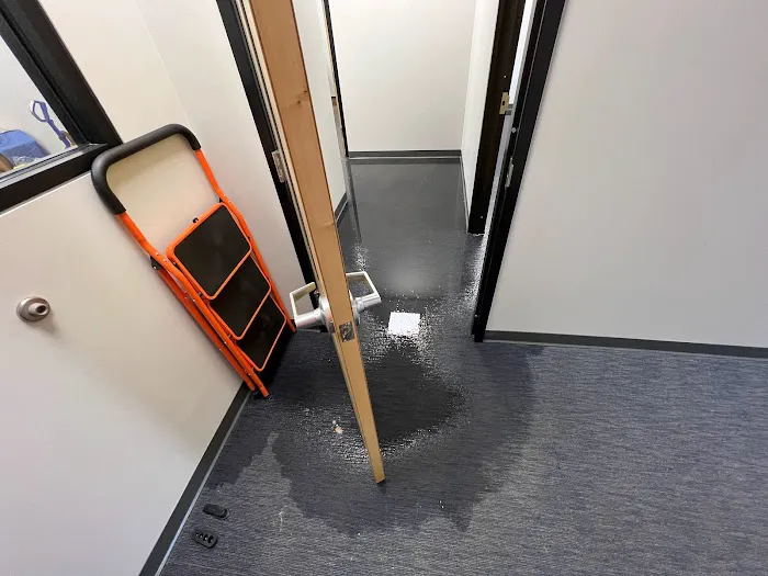 All Dry Services of Clemson Picture 2