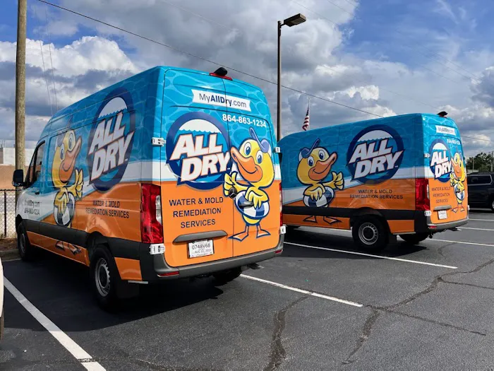 All Dry Services of Clemson Picture 4