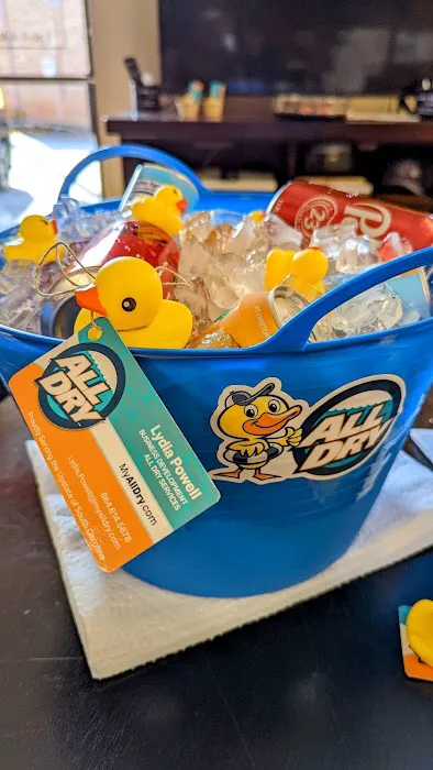 All Dry Services of Clemson Picture 8