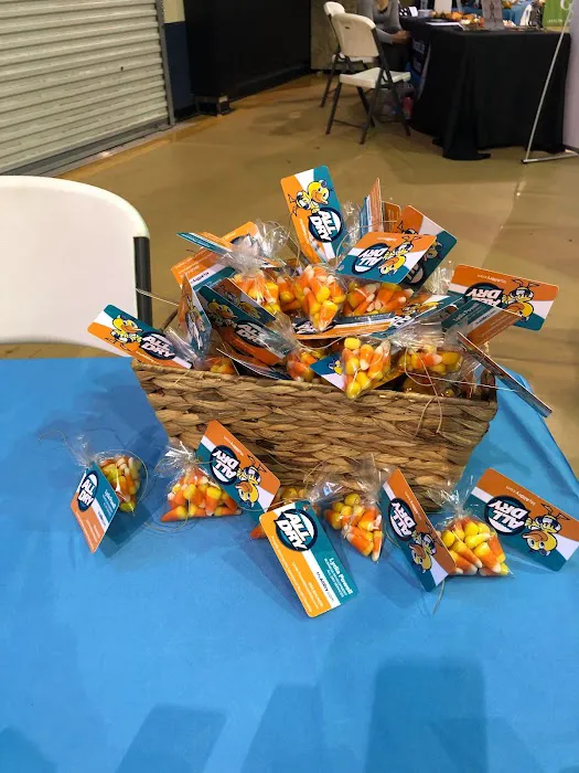 All Dry Services of Clemson Picture 7