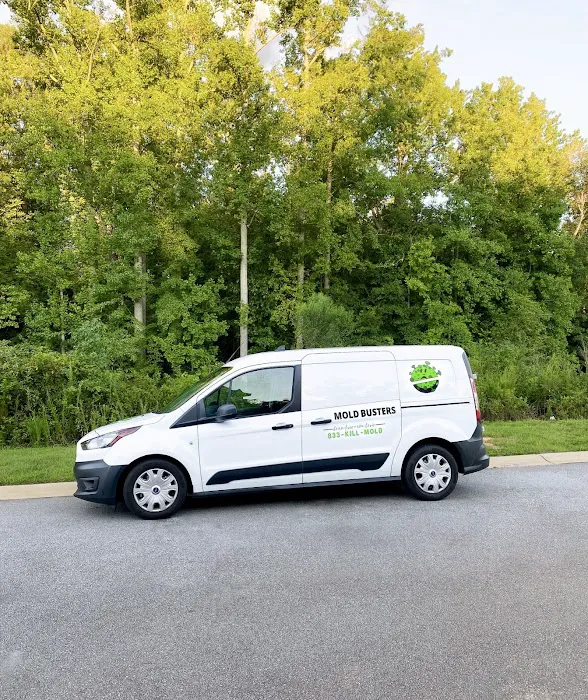 Mold Busters Greenville Picture 3