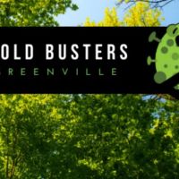 Mold Busters Greenville ico