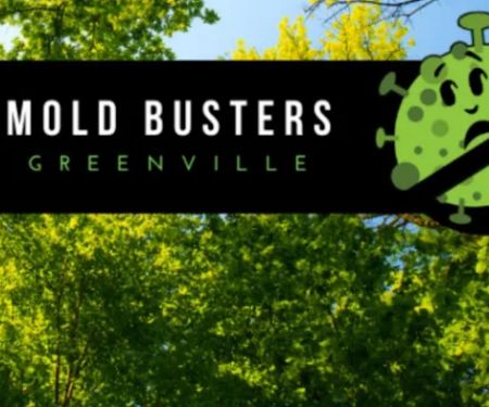 Mold Busters Greenville
