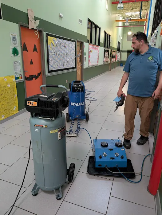 Mold Busters Greenville Picture 6