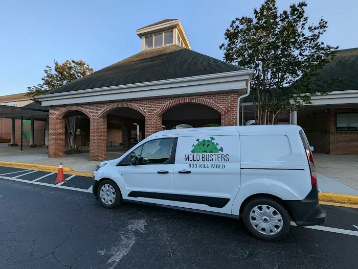 Mold Busters Greenville Picture 4