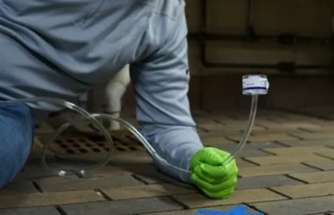 Mold Busters Greenville Picture 10