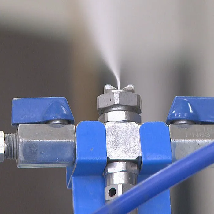 Mold Busters Greenville Picture 7