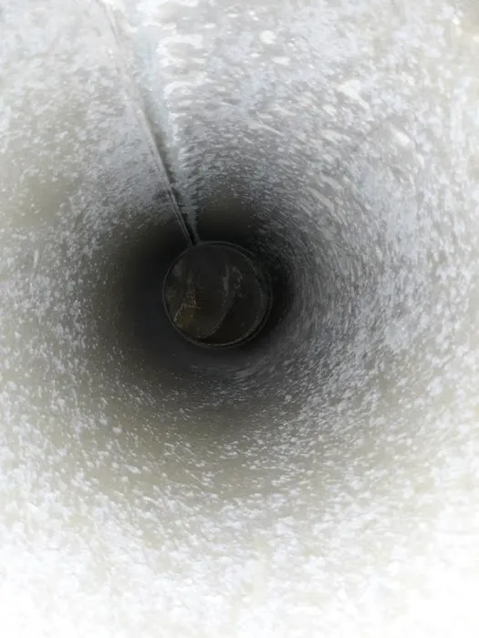 Steamatic of Greater Greenville Picture 5