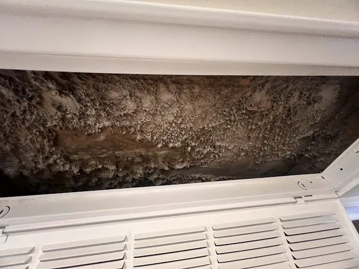 Steamatic of Greater Greenville Picture 7