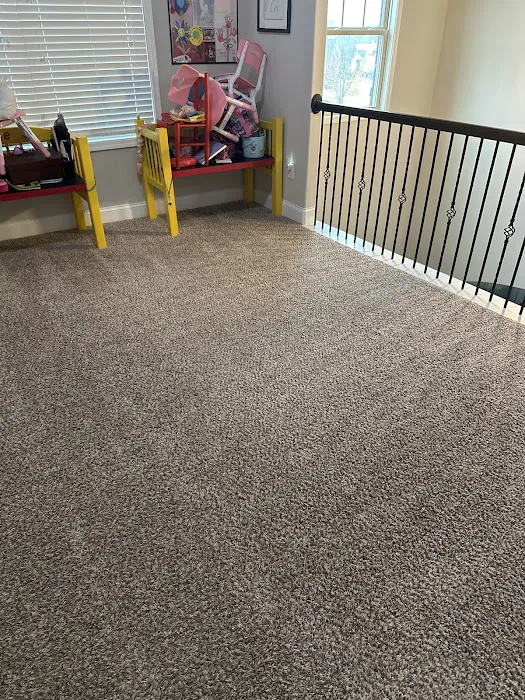 Steamatic of Greater Greenville Picture 9