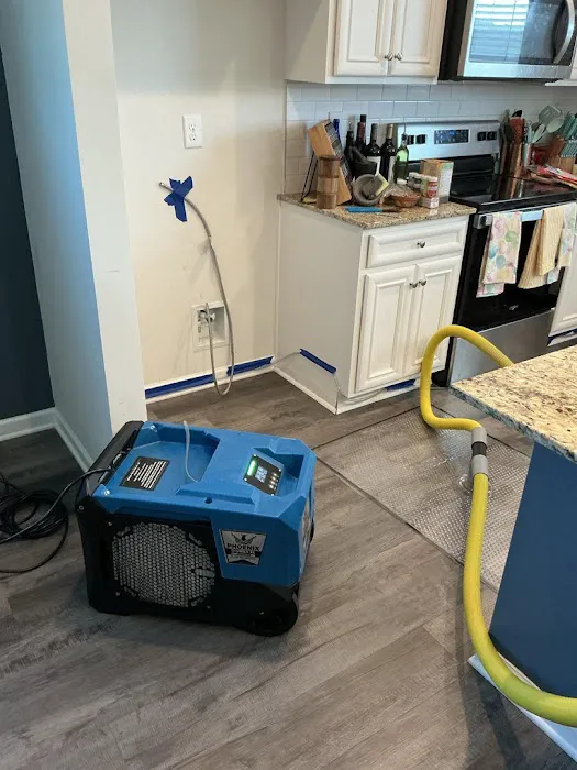 Lightspeed Restoration of Greenville Picture 6