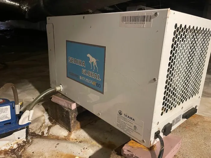 Lightspeed Restoration of Greenville Picture 5