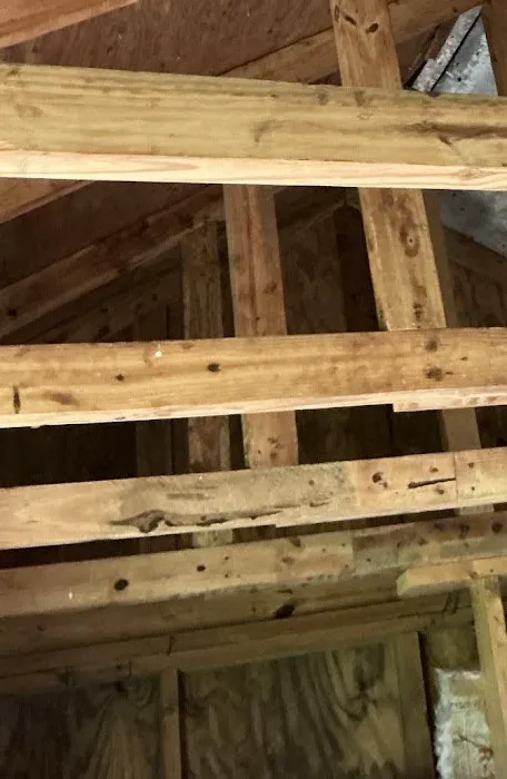 Lightspeed Restoration of Greenville Picture 7