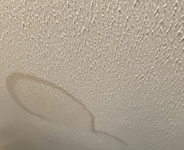 Lightspeed Restoration of Greenville Picture 8