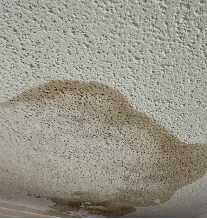 Lightspeed Restoration of Greenville Picture 9