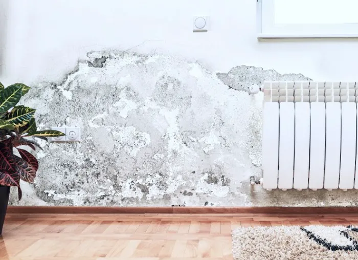 North Alabama Restorations, Inc. Picture 1