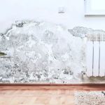 North Alabama Restorations, Inc.