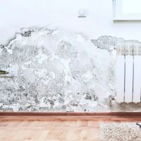 North Alabama Restorations, Inc. ico