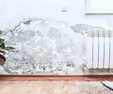 North Alabama Restorations, Inc.