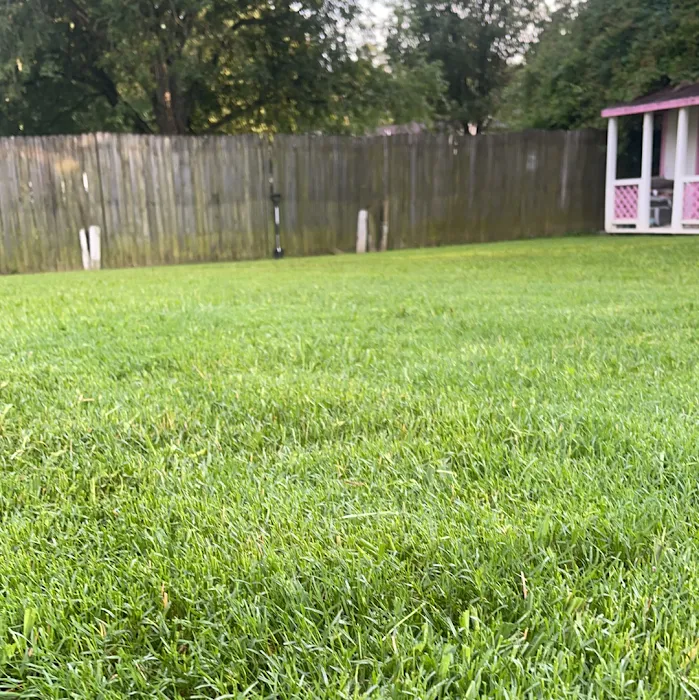 Small Time Repairs LLC Picture 3