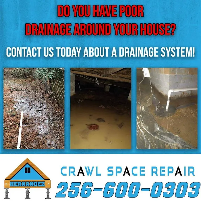 Mr. Hernandez Crawlspace crawlspace repair &waterproofing Picture 9