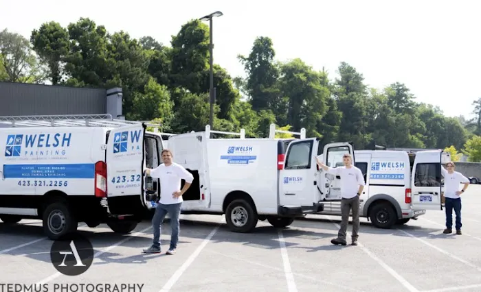 Welsh Painting Company Picture 1