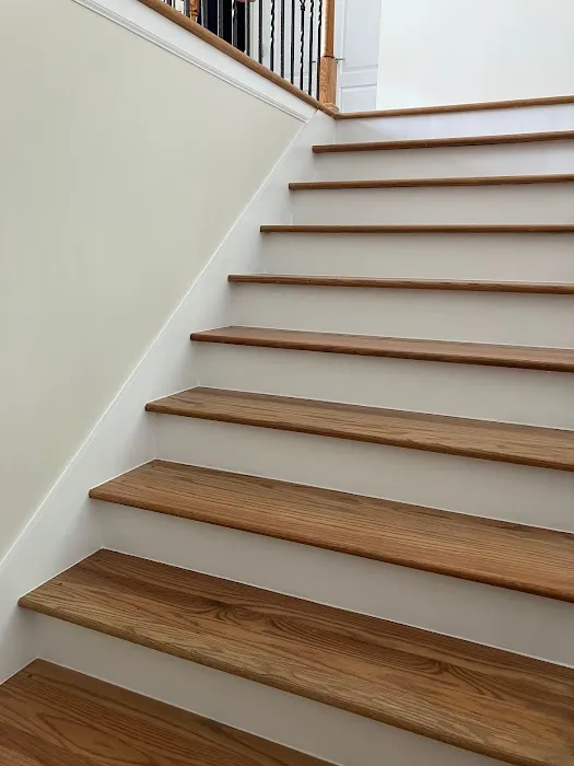 Welsh Painting Company Picture 8