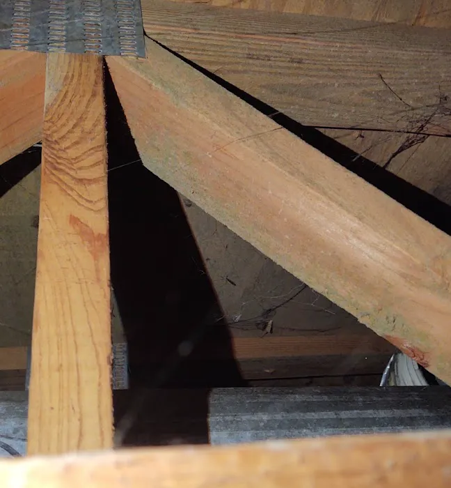 Affinity Environmental Group Picture 3