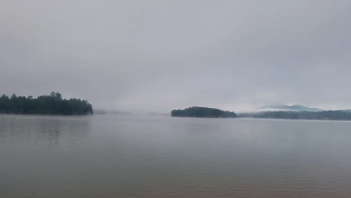 My Carpet Cleaners & Restoration Services Picture 1