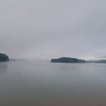 My Carpet Cleaners & Restoration Services