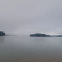 My Carpet Cleaners & Restoration Services ico