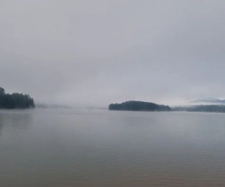 My Carpet Cleaners & Restoration Services